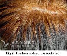 260804111124_Hair-Dying with henna-s.jpg
